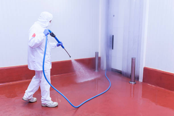 Best Roof Washing  in Chester, IL