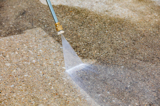 Best Soft Washing  in Chester, IL